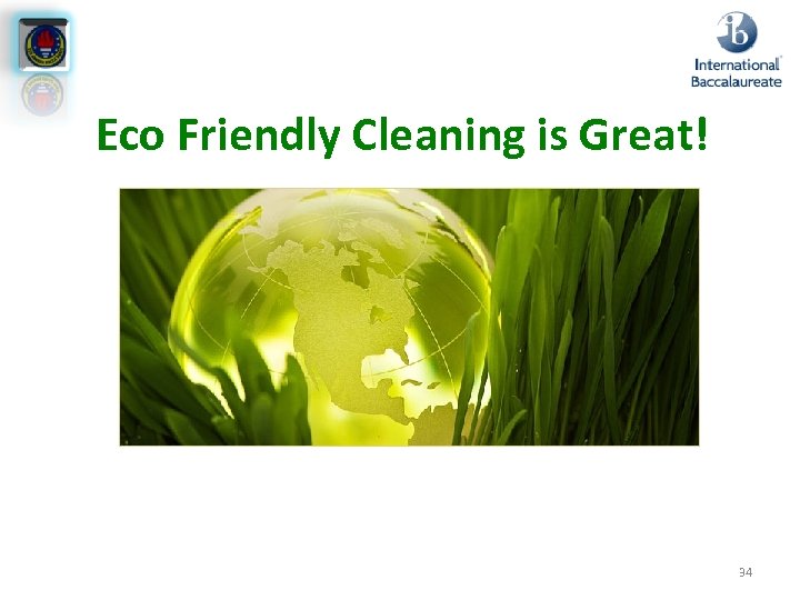 Eco Friendly Cleaning is Great! 34 