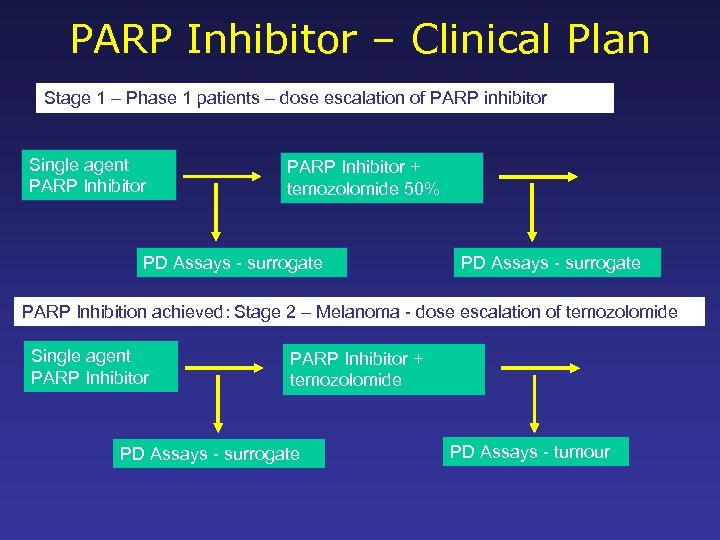 PARP Inhibitor – Clinical Plan Stage 1 – Phase 1 patients – dose escalation