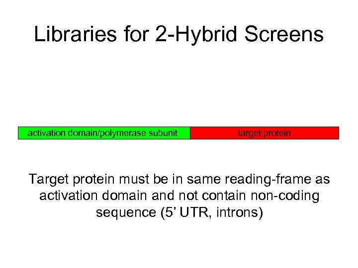 Libraries for 2 -Hybrid Screens activation domain/polymerase subunit target protein Target protein must be