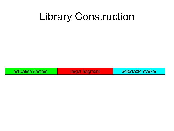 Library Construction activation domain target fragment selectable marker 