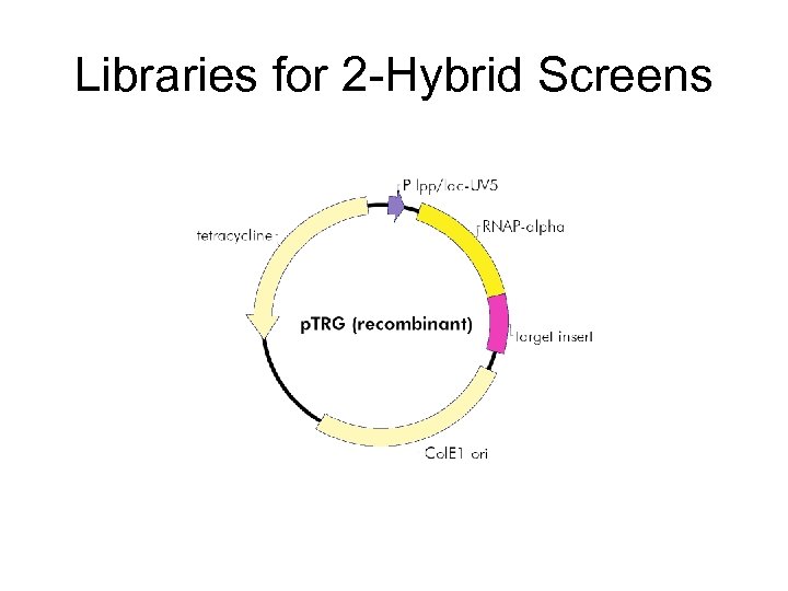 Libraries for 2 -Hybrid Screens 