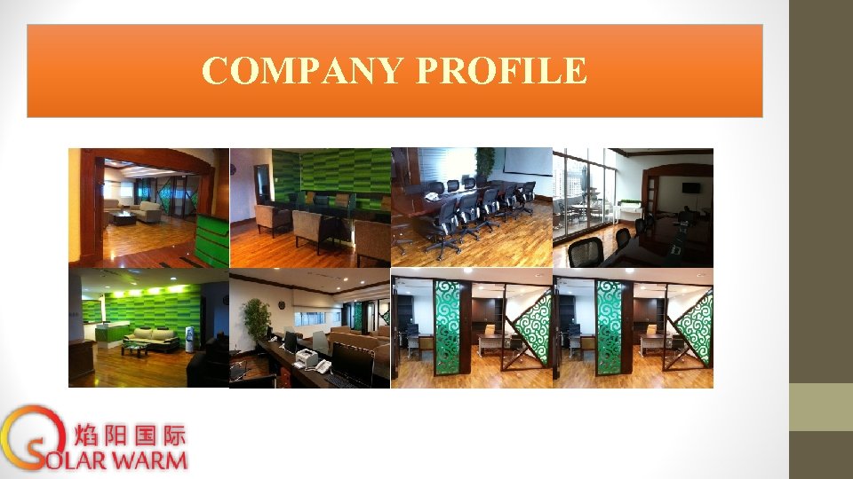 COMPANY PROFILE 