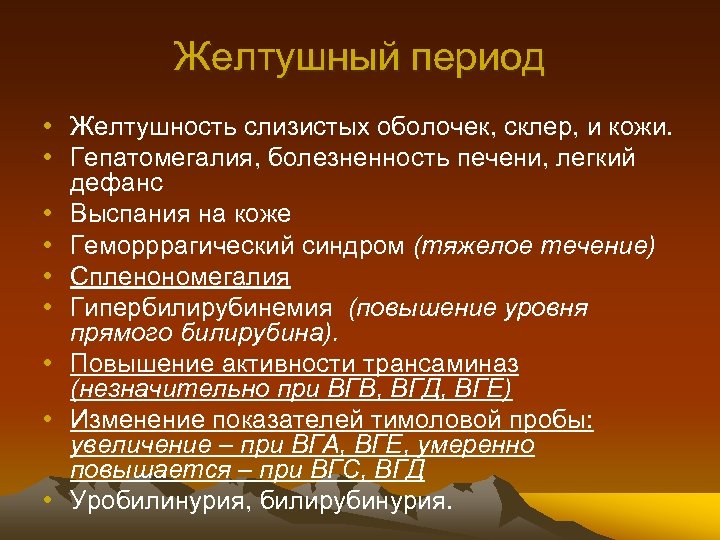 Желтушный период • Желтушность слизистых оболочек, склер, и кожи. • Гепатомегалия, болезненность печени, легкий