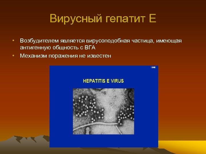 Вирусный гепатит Е • Возбудителем является вирусоподобная частица, имеющая антигенную общность с ВГА •