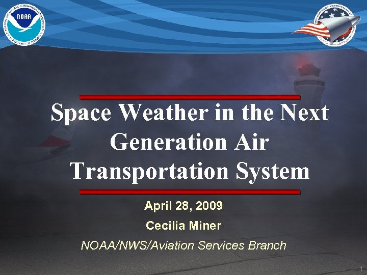 Space Weather in the Next Generation Air Transportation System April 28, 2009 Cecilia Miner