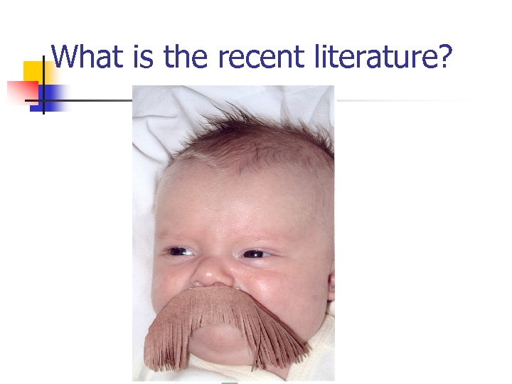 What is the recent literature? 