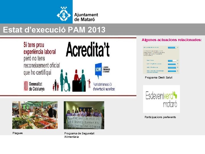 Estat d’execució PAM 2013 Algunes actuacions relacionades: Programa Destí Salut Participacions preferents Plagues Programa