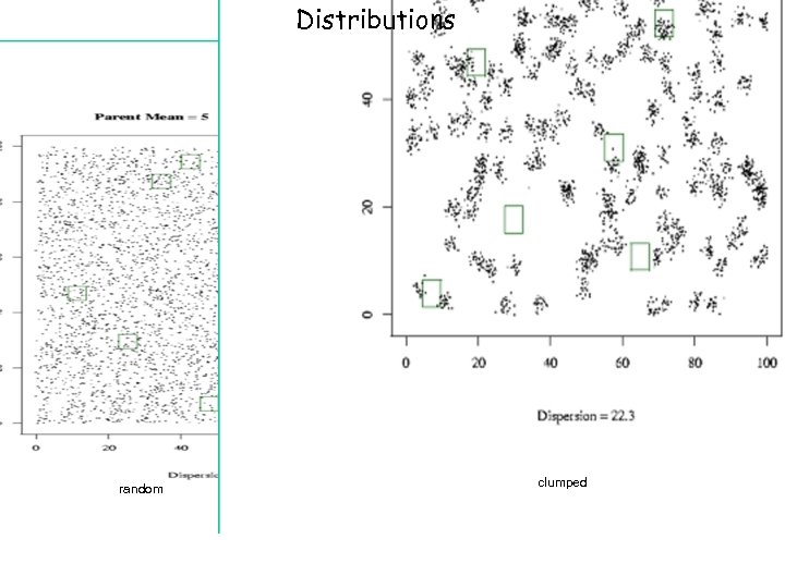 Distributions random clumped 