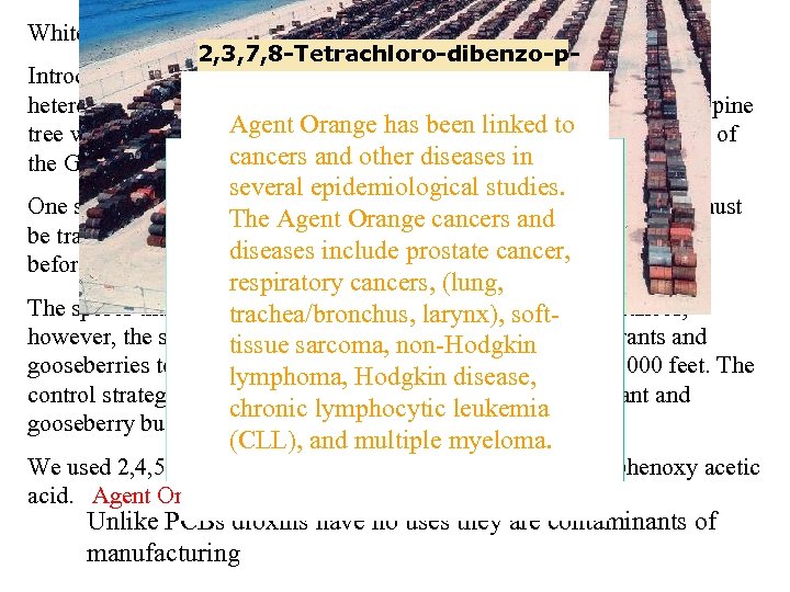 White Pine Blister Rust – Cronartium ribicola 2, 3, 7, 8 -Tetrachloro-dibenzo-p. Introduced into