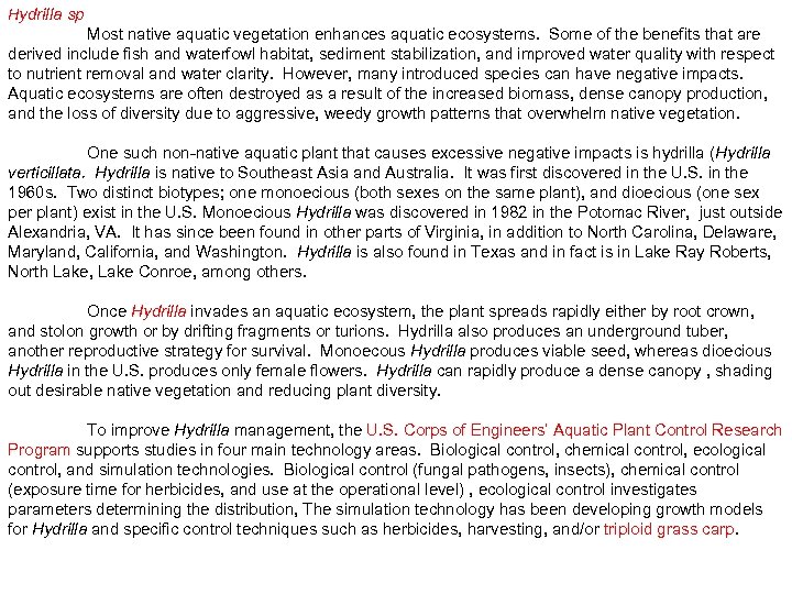 Hydrilla sp Most native aquatic vegetation enhances aquatic ecosystems. Some of the benefits that