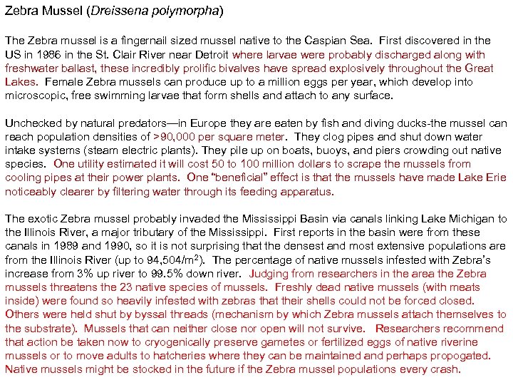 Zebra Mussel (Dreissena polymorpha) The Zebra mussel is a fingernail sized mussel native to