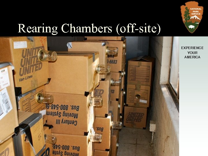 Rearing Chambers (off-site) EXPERIENCE YOUR AMERICA 