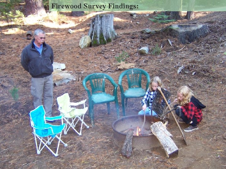 Firewood Survey Findings: EXPERIENCE YOUR AMERICA 