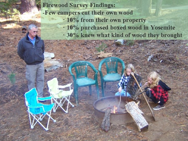 Firewood Survey Findings: -Few campers cut their own wood · 10% from their own