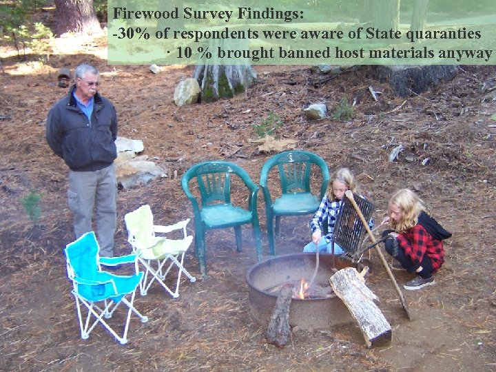 Firewood Survey Findings: -30% of respondents were aware of State quaranties · 10 %