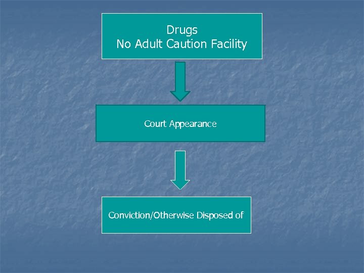 Drugs No Adult Caution Facility Court Appearance Conviction/Otherwise Disposed of 