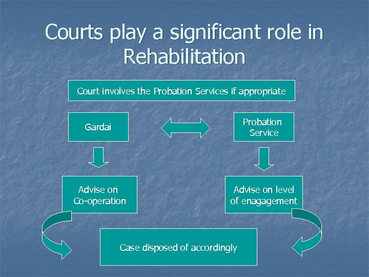 Courts play a significant role in Rehabilitation Court involves the Probation Services if appropriate