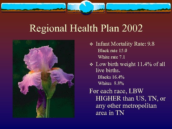 Regional Health Plan 2002 v Infant Mortality Rate: 9. 8 Black rate 15. 0