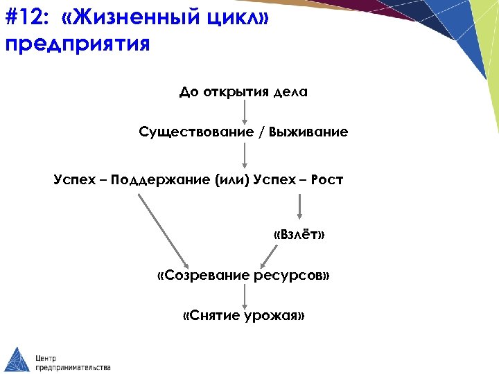 #12: «Жизненный цикл» предприятия До открытия дела Существование / Выживание Успех – Поддержание (или)