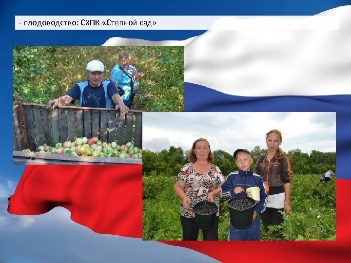 - плодоводство: СХПК «Степной сад» 