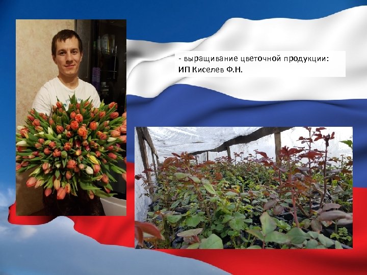 - выращивание цветочной продукции: ИП Киселев Ф. Н. 