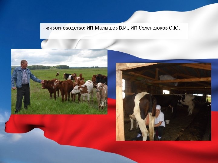 - животноводство: ИП Малышев В. И. , ИП Селендюков О. Ю. 