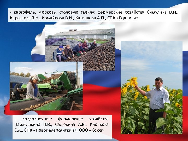 - картофель, морковь, столовую свеклу: фермерские хозяйства Симулина В. И. , Карсакова В. Н.