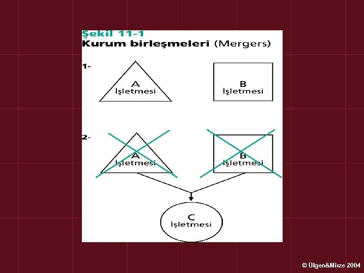 © Ülgen&Mirze 2004 