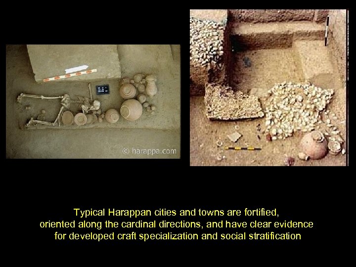 Typical Harappan cities and towns are fortified, oriented along the cardinal directions, and have