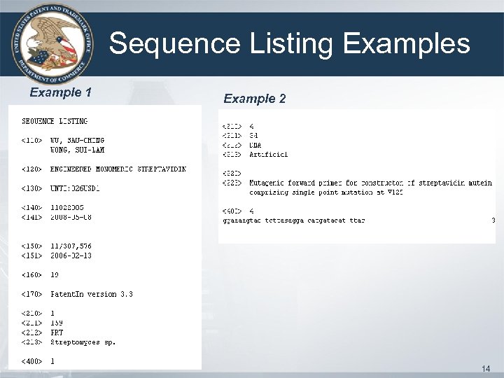 Sequence Listing Examples Example 1 Example 2 14 