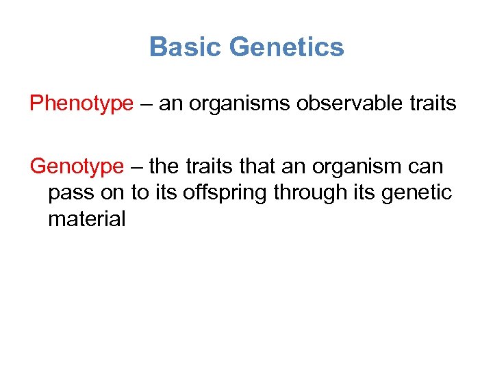 Basic Genetics Phenotype – an organisms observable traits Genotype – the traits that an