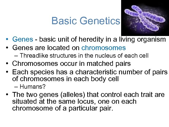 Basic Genetics • Genes - basic unit of heredity in a living organism •
