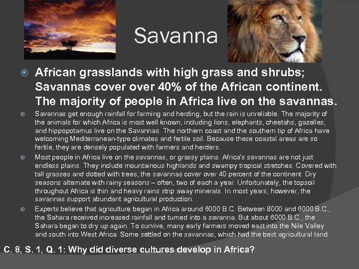 Savanna African grasslands with high grass and shrubs; Savannas cover 40% of the African