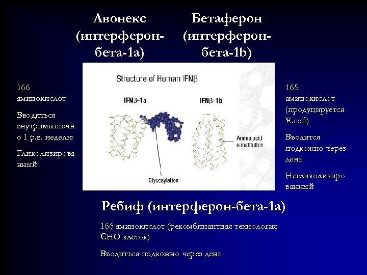 Авонекс (интерферонбета-1 а) Бетаферон (интерферонбета-1 b) 166 аминокислот 165 аминокислот (продуцируется E. coli) Вводиться