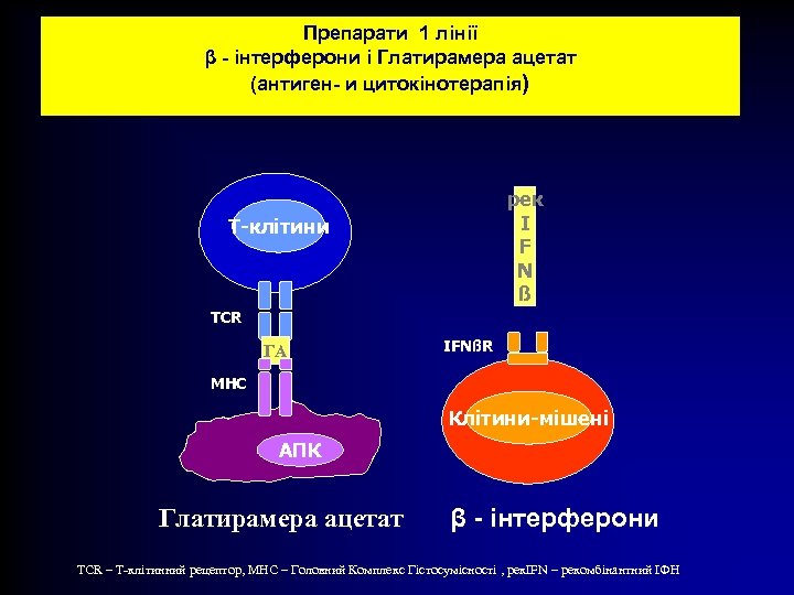 Препарати 1 лінії β - інтерферони і Глатирамера ацетат (антиген- и цитокінотерапія) рек I