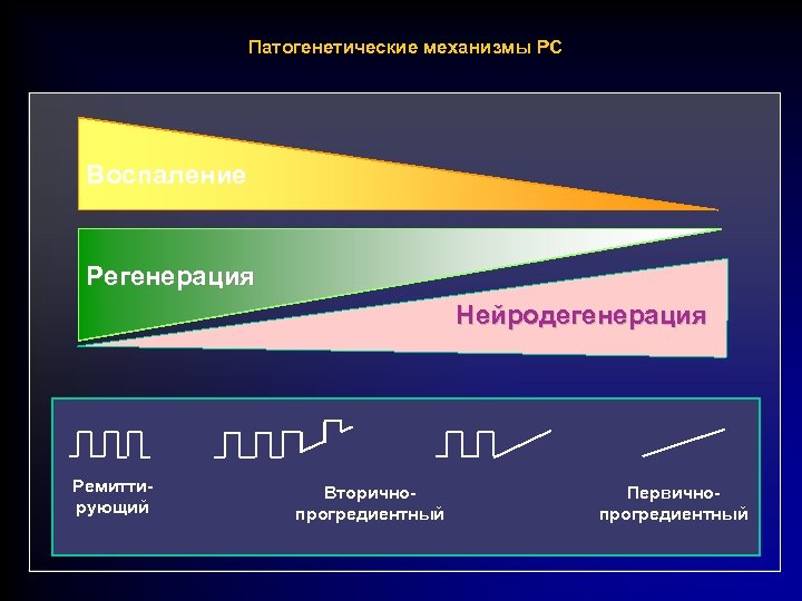  Патогенетические механизмы РС Воспаление Регенерация Нейродегенерация Ремиттирующий Вторичнопрогредиентный Первичнопрогредиентный 