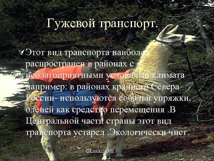 Гужевой транспорт. Ú Этот вид транспорта наиболее распространен в районах с неблагоприятными условиями климата