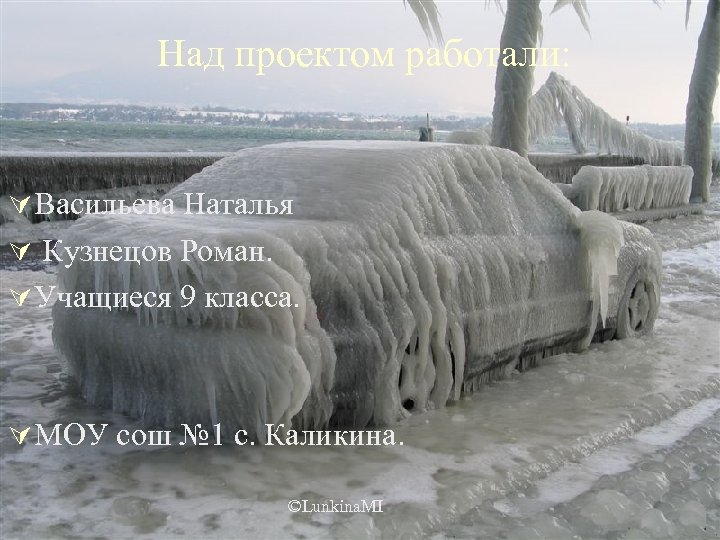 Над проектом работали: Ú Васильева Наталья Ú Кузнецов Роман. Ú Учащиеся 9 класса. Ú