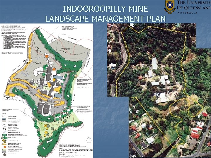 INDOOROOPILLY MINE LANDSCAPE MANAGEMENT PLAN 