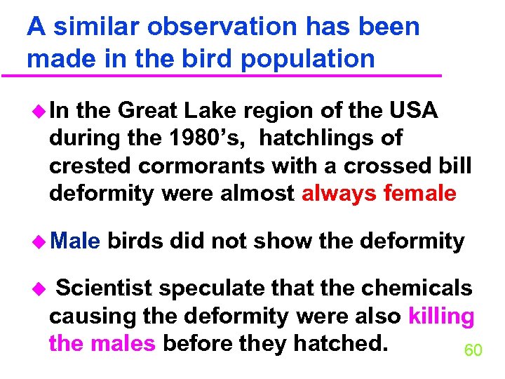 A similar observation has been made in the bird population u In the Great