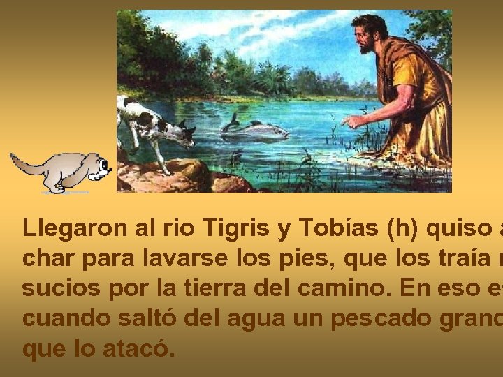 Llegaron al rio Tigris y Tobías (h) quiso a char para lavarse los pies,