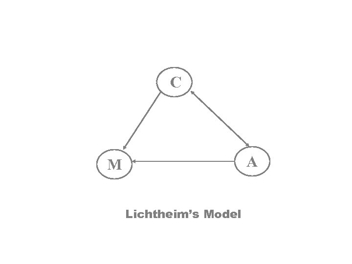 C A M Lichtheim’s Model 