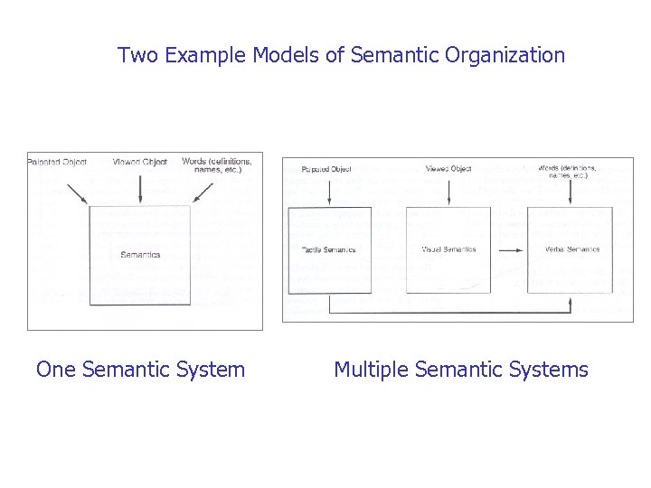 Two Example Models of Semantic Organization One Semantic System Multiple Semantic Systems 