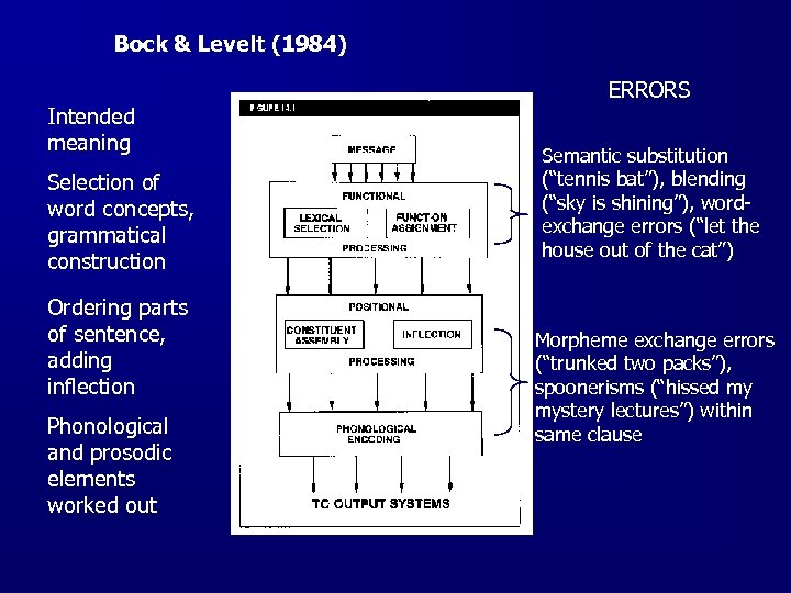 Aarne language 2. Модель продуцирования речи в Левелта. Модели Levelt. Виллем Левелт. Levelt's Speech Production model.