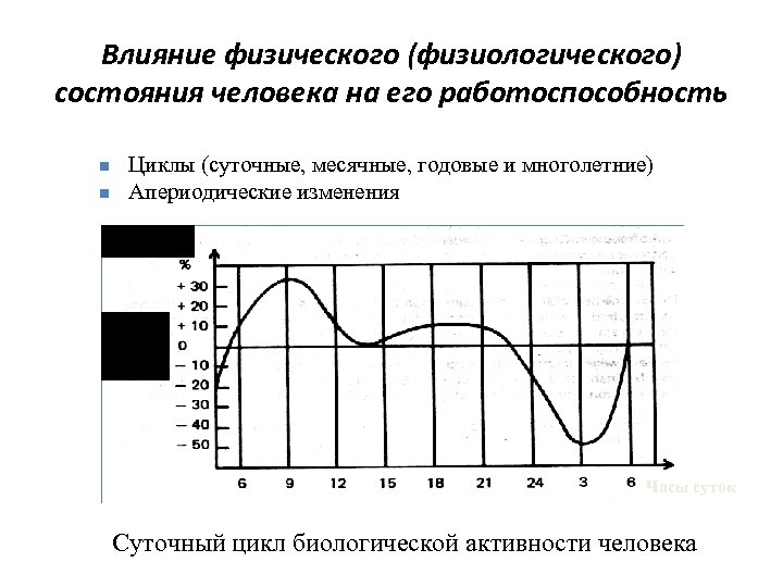 Влияние физического (физиологического) состояния человека на его работоспособность n n Циклы (суточные, месячные, годовые