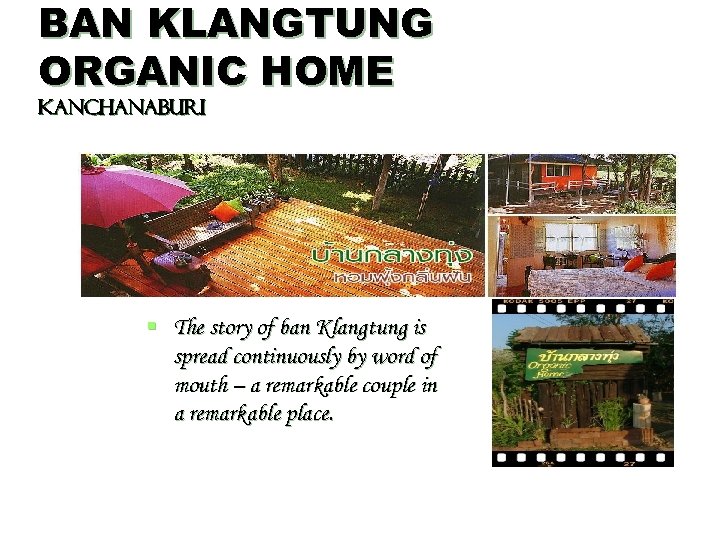 BAN KLANGTUNG ORGANIC HOME Kanchanaburi § The story of ban Klangtung is spread continuously