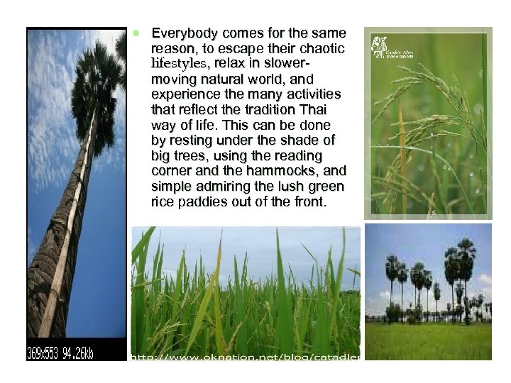 § Everybody comes for the same reason, to escape their chaotic lifestyles, relax in