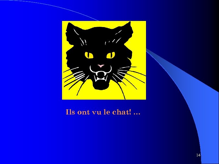 Ils ont vu le chat! … 14 