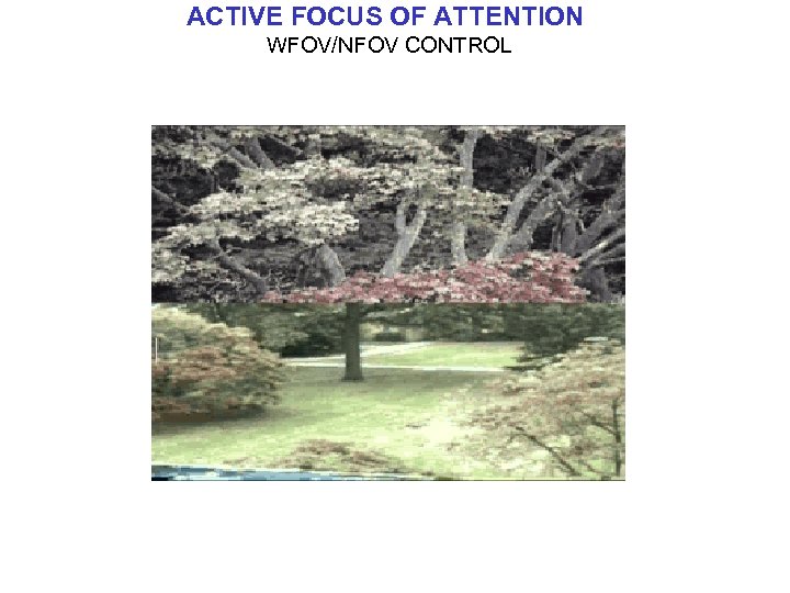 ACTIVE FOCUS OF ATTENTION WFOV/NFOV CONTROL 