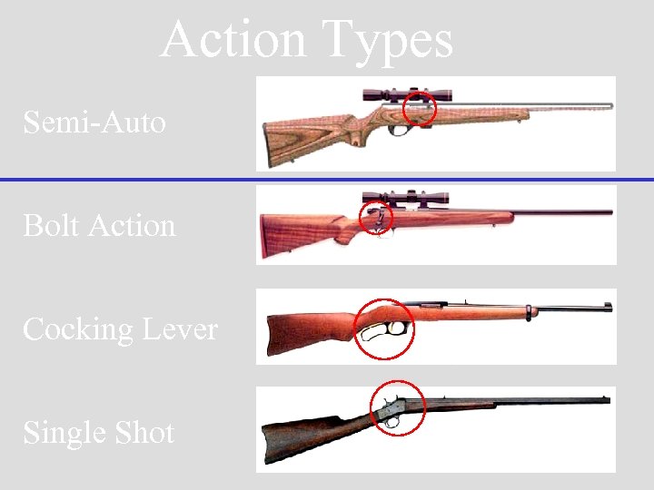 Action Types Semi-Auto Bolt Action Cocking Lever Single Shot 